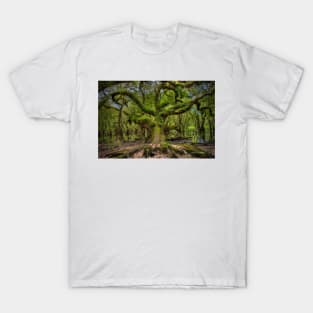 Fern covered oak T-Shirt